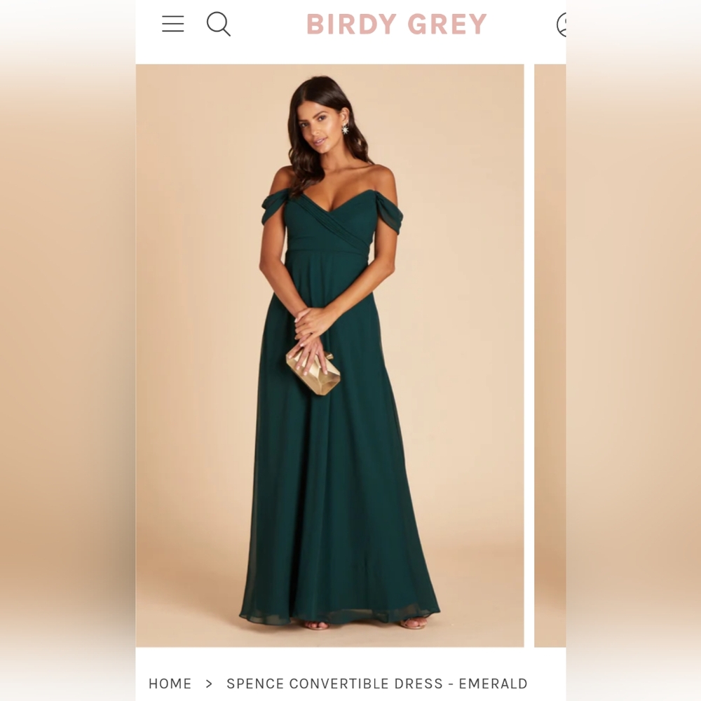 Birdy Gray emerald chiffon dress- brand new